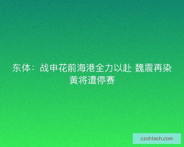 东体：战申花前海港全力以赴 魏震再染黄将遭停赛