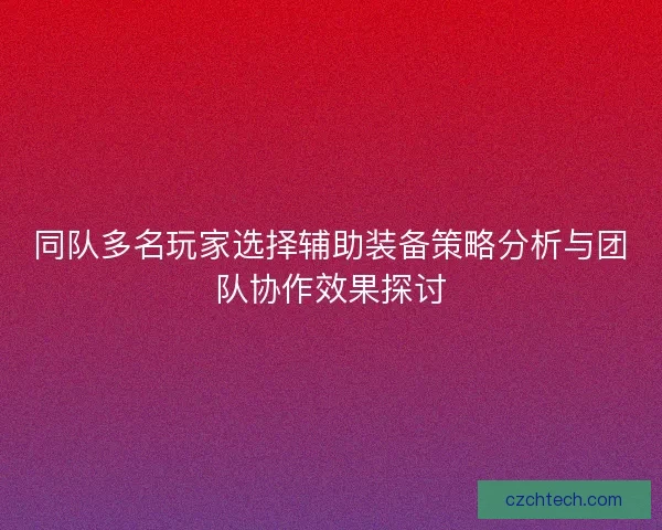 同队多名玩家选择辅助装备策略分析与团队协作效果探讨